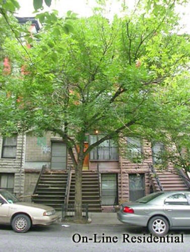 417 West 146th Street 3 Hamilton Heights New York NY 10031