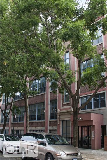 110 Clifton Place Clinton Hill Brooklyn NY 11238