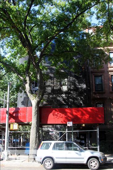151 Lafayette Avenue 1 Fort Greene Brooklyn NY 11238