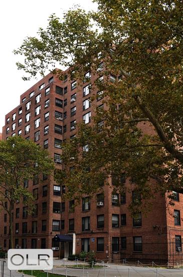 365 Clinton Avenue 6F Clinton Hill Brooklyn NY 11238