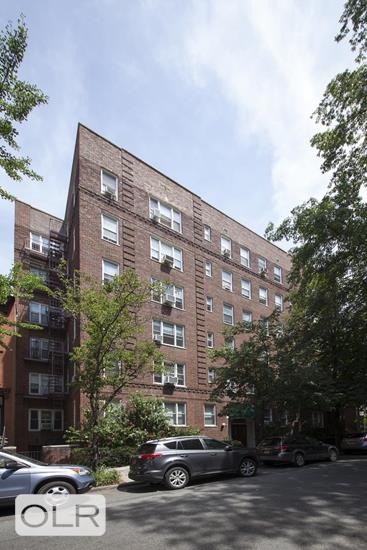 225 Park Place Prospect Heights Brooklyn NY 11238