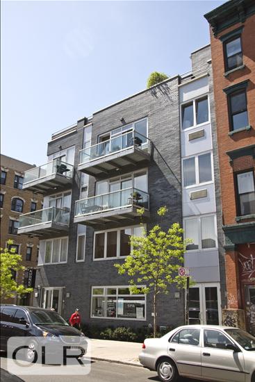 342 Bedford Avenue Williamsburg Brooklyn NY 11249