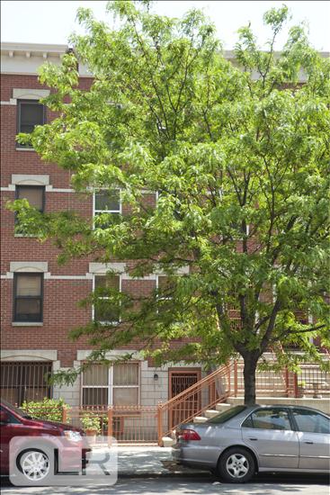 1451 Fifth Avenue 3FAM East Harlem New York NY 10035