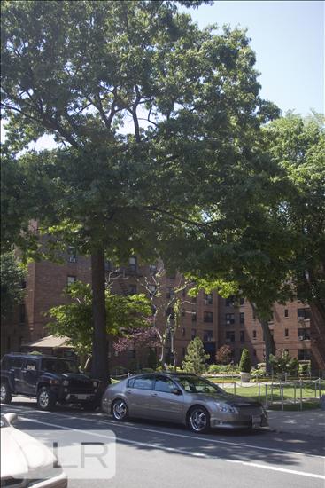 35 Oliver Street 5H Fort Hamilton Brooklyn NY 11209