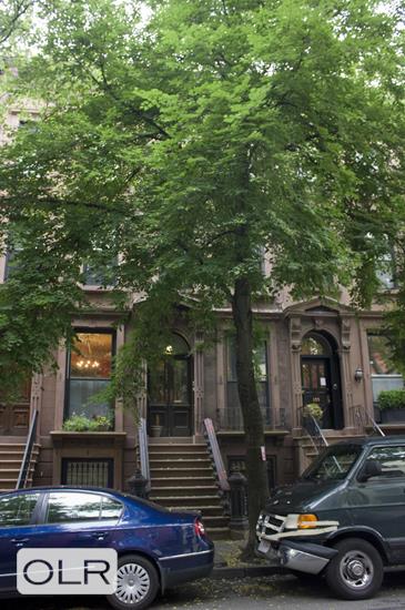 353A Clinton Street Cobble Hill Brooklyn NY 11231
