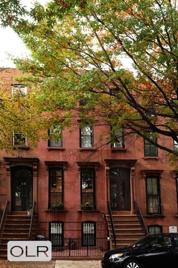58 Downing Street 2 Clinton Hill Brooklyn NY 11238
