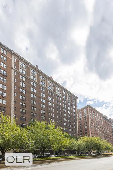 1125 Park Avenue PH1C Carnegie Hill New York NY 10128