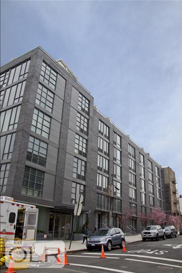 49 North 8th Street Williamsburg Brooklyn NY 11249