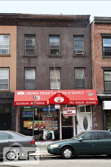 230 Hoyt Street Boerum Hill Brooklyn NY 11231