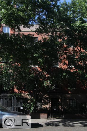 143 Lafayette Avenue 5F Fort Greene Brooklyn NY 11238