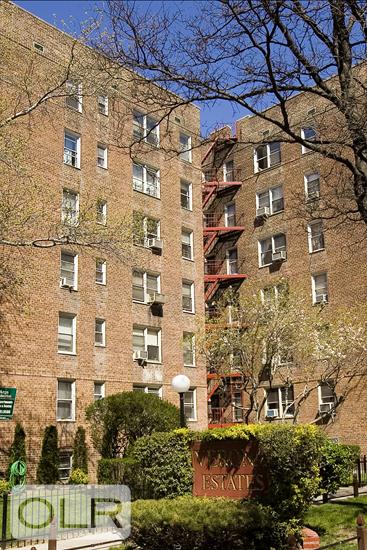 65-45 Yellowstone Blvd. 6E Forest Hills Queens NY 11375