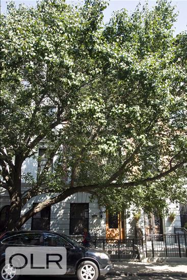 125 West 136th Street 1 West Harlem New York NY 10030