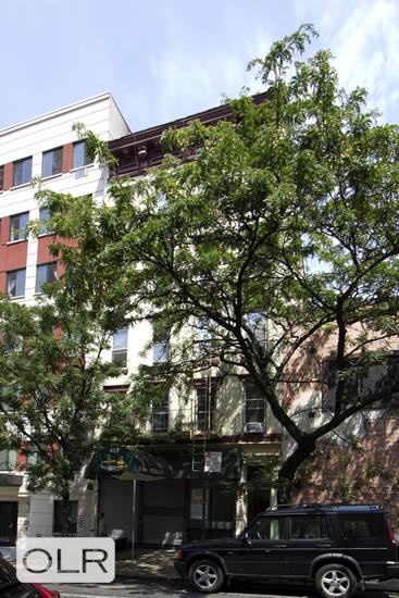 437 West 53rd Street 4A Clinton New York NY 10019