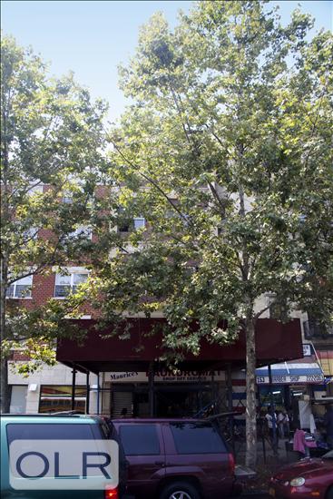 151 Lenox Avenue 5 Mt. Morris Park New York NY 10026