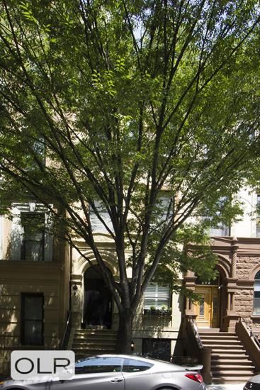 549 West 149th Street Hamilton Heights New York NY 10031