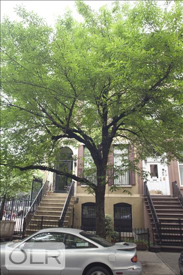 463 West 47th Street 4 Clinton New York NY 10036