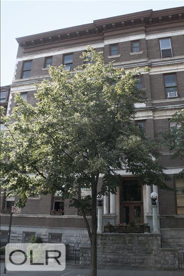 126 Greene Avenue 4W Clinton Hill Brooklyn NY 11238