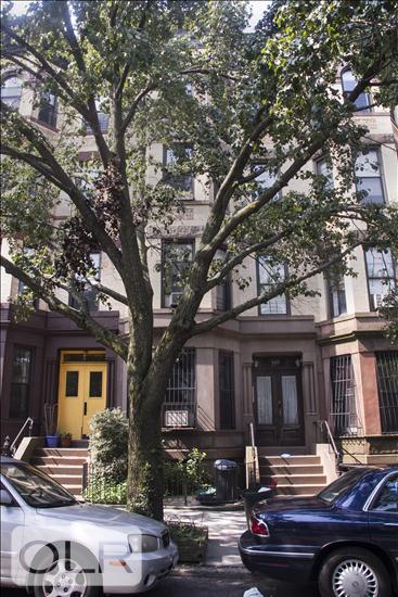 422 2nd Street Park Slope Brooklyn NY 11215