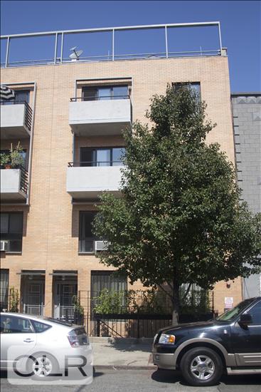 895 Pacific Street 1A Prospect Heights Brooklyn, NY 11238