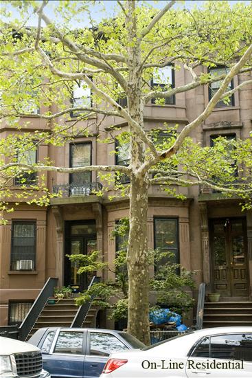 54 Sterling Place Park Slope Brooklyn NY 11217