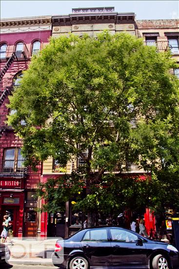11 Carmine Street Greenwich Village New York NY 10014