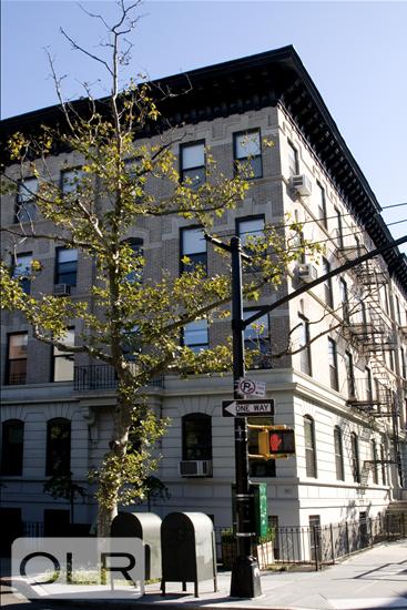 391 Clinton Street 3A Carroll Gardens Brooklyn NY 11231