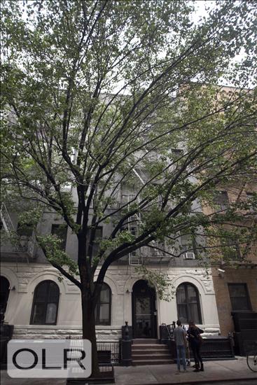 439 West 51st Street 4W Clinton New York NY 10019