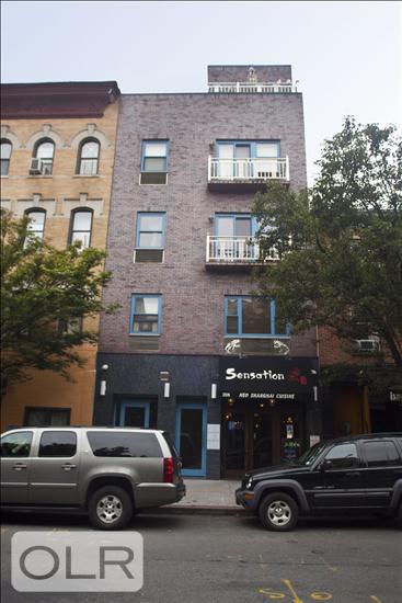 208 Grand Street 3A Williamsburg Brooklyn NY 11211