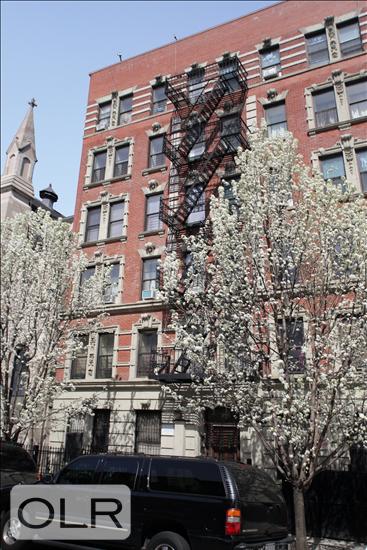 29 West 119th Street 3 Mt. Morris Park New York NY 10026