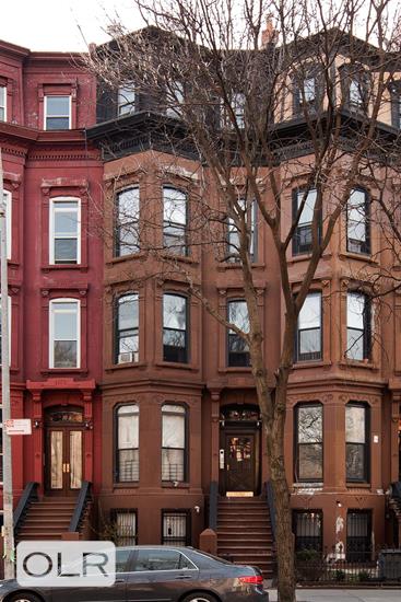 533 Washington Avenue Garden Clinton Hill Brooklyn NY 11238