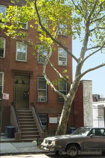 86 Waverly Avenue Clinton Hill Brooklyn NY 11205