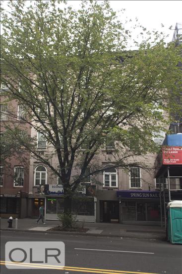 221 West 14th Street 3A Chelsea New York NY 10011