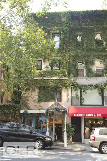 1318 Madison Avenue TRIPLEX Carnegie Hill New York NY 10128