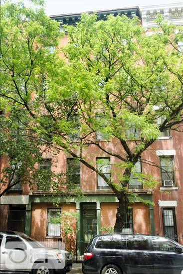 419 West 48th Street 2W Clinton New York NY 10036
