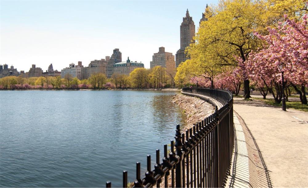 Central Park South NO FEE