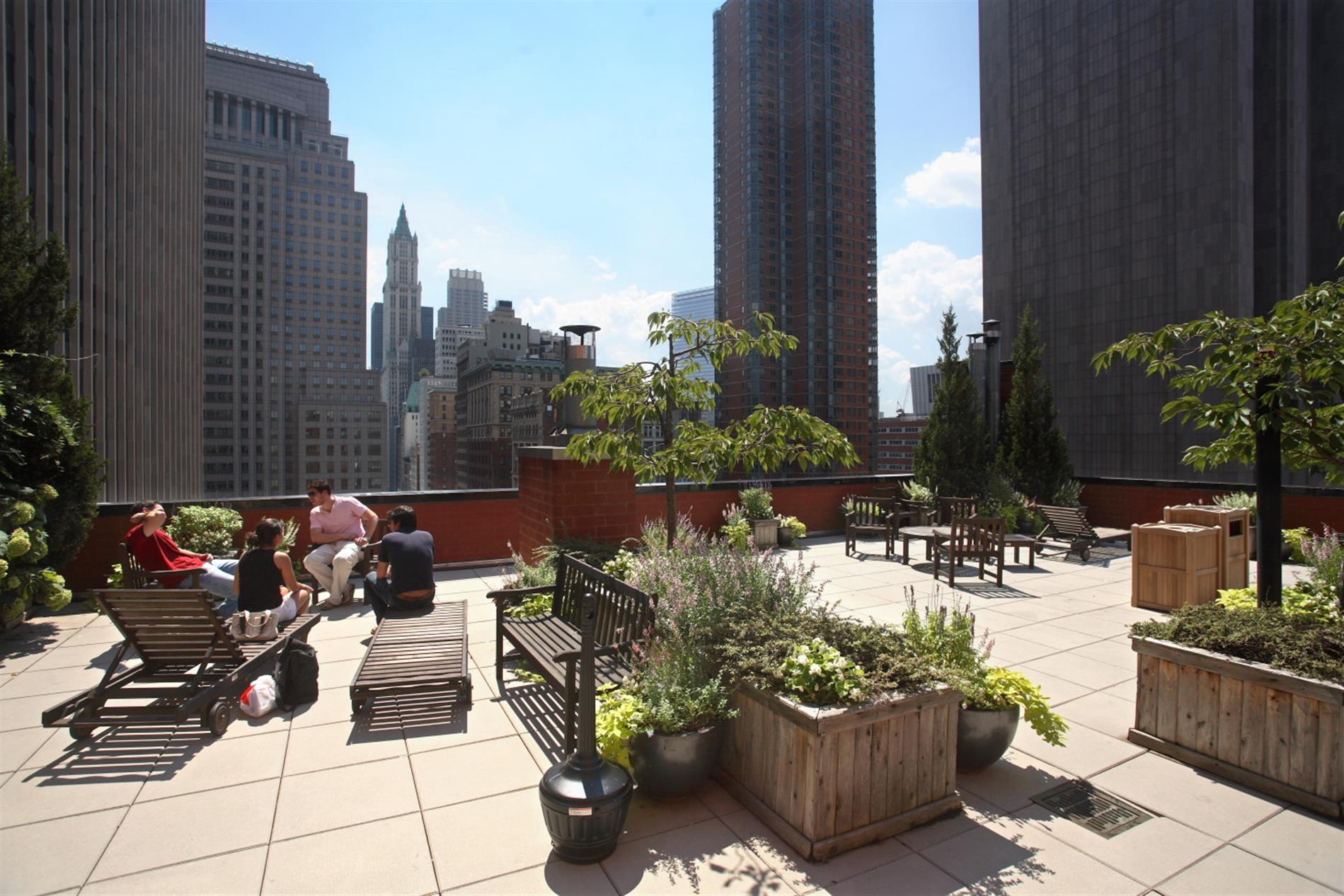 One Bedroom - Tribeca