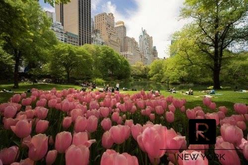 East 88th Street