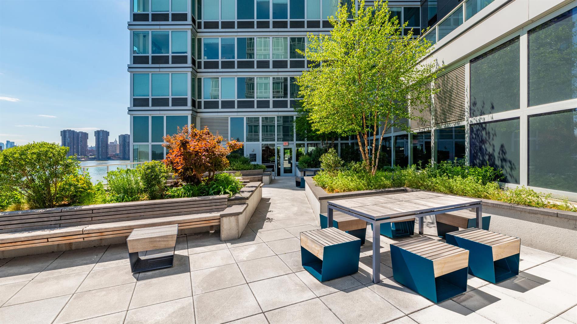 Long Island City NO FEE