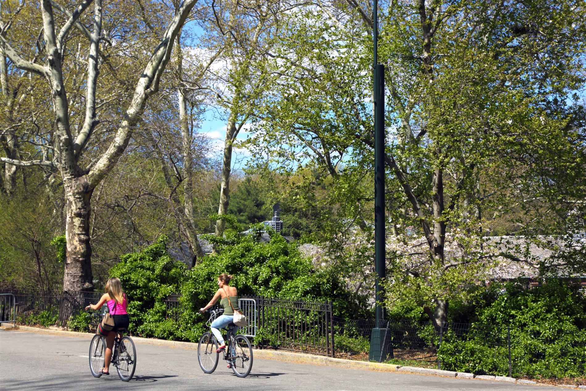 205 East 59th Street, PHA