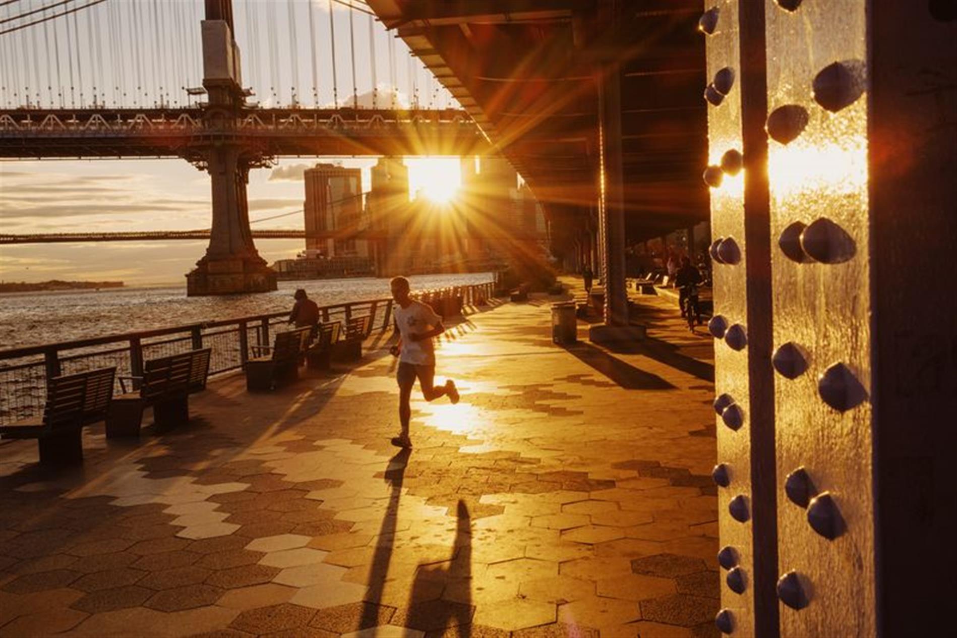 No Fee Lower East Side